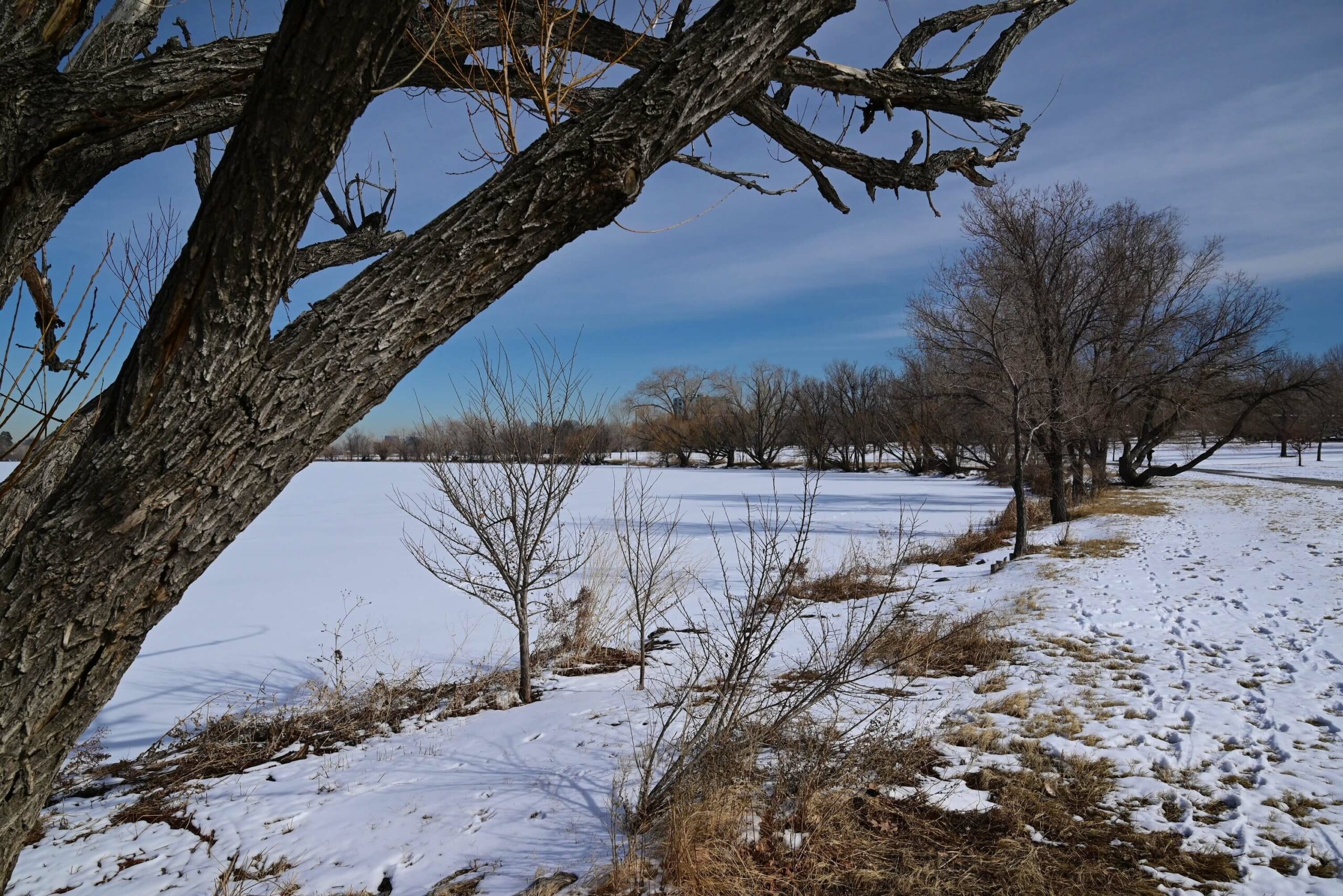 snowy park